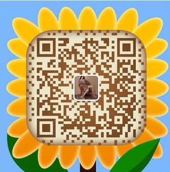 小辣椒UGG微信二维码